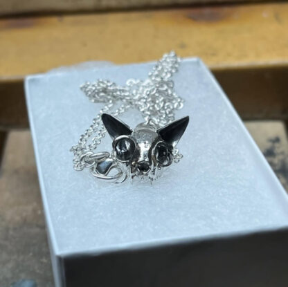 Skull Kitty